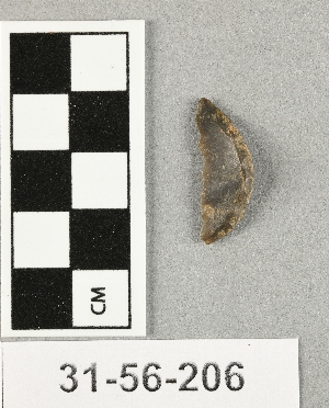 31-56-206