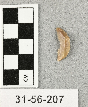 31-56-207