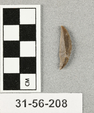 31-56-208
