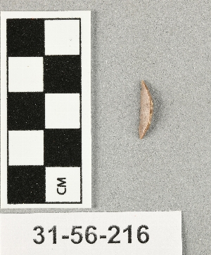 31-56-216