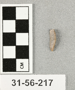 31-56-217