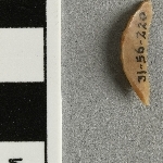 937101