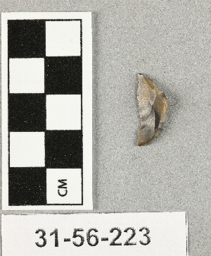 31-56-223