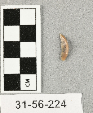31-56-224