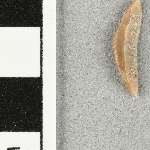 937127