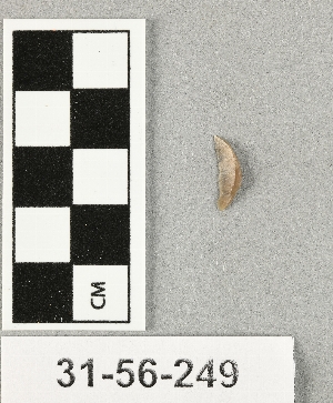 31-56-249