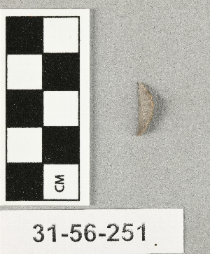 31-56-251
