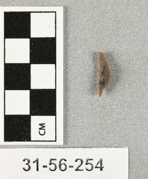 31-56-254
