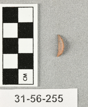 31-56-255