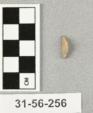 31-56-256