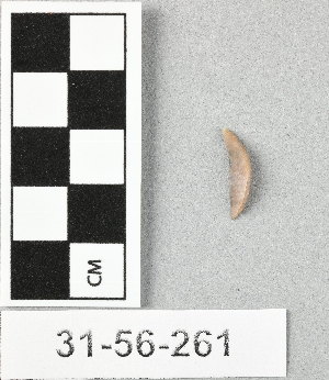 31-56-261