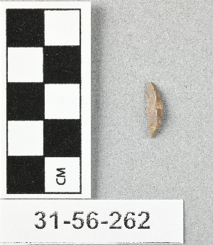 31-56-262