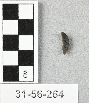 31-56-264