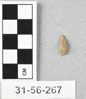 31-56-267