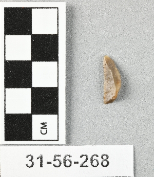 31-56-268