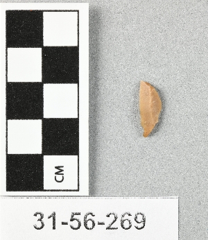 31-56-269