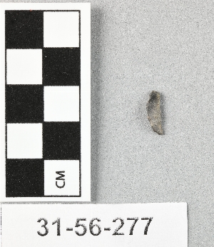 31-56-277