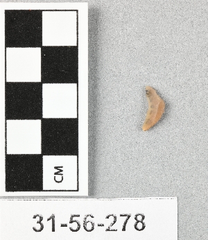 31-56-278