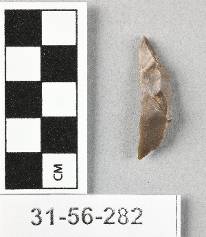 31-56-282