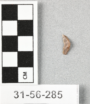 31-56-285