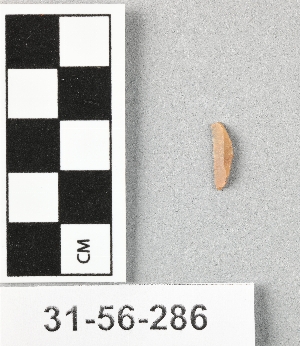 31-56-286