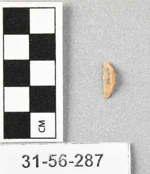 31-56-287