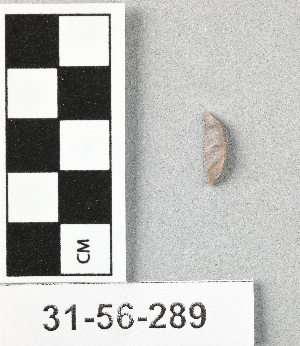 31-56-289