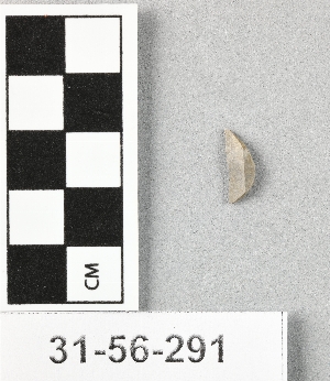 31-56-291