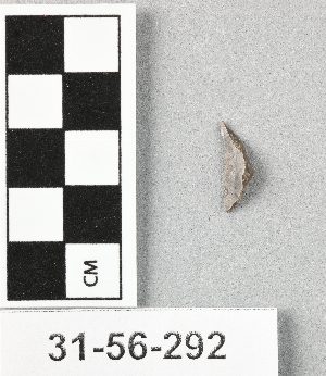 31-56-292