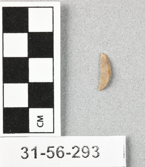 31-56-293
