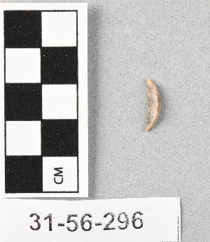 31-56-296