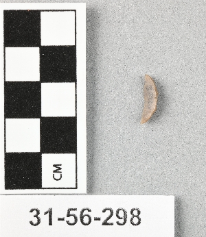 31-56-298