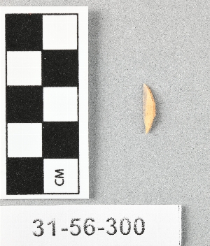 31-56-300
