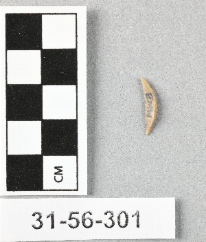 31-56-301