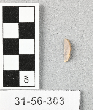 31-56-303