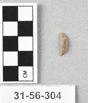 31-56-304