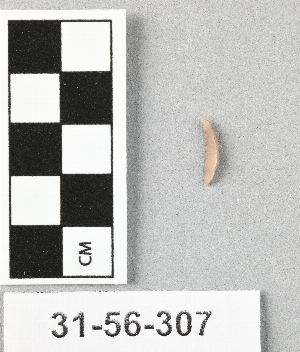 31-56-307