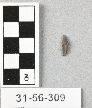 31-56-309