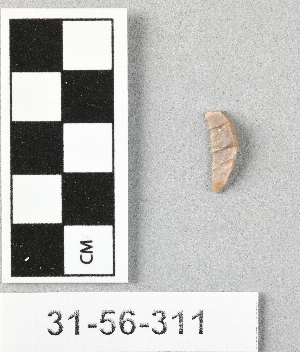 31-56-311
