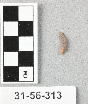 31-56-313