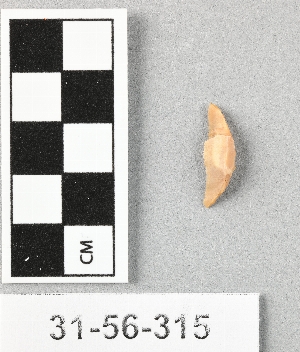 31-56-315