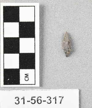 31-56-317