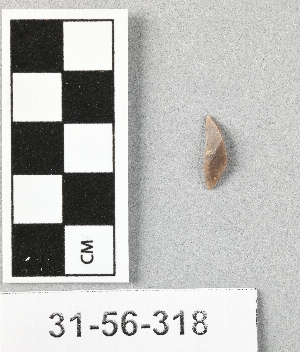 31-56-318