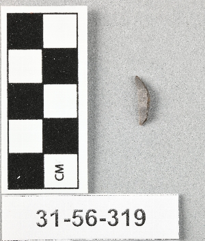 31-56-319