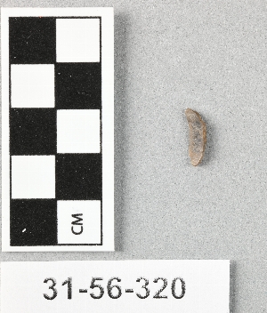 31-56-320
