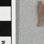 937409