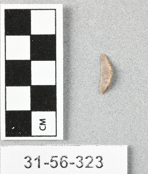 31-56-323
