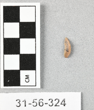 31-56-324