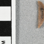 937425