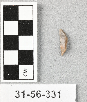 31-56-331